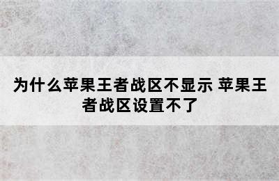 为什么苹果王者战区不显示 苹果王者战区设置不了